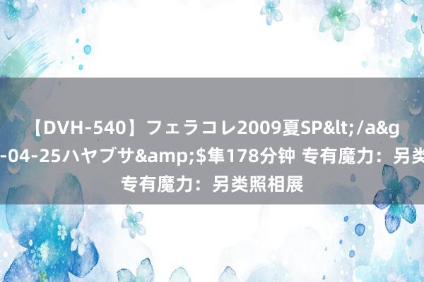 【DVH-540】フェラコレ2009夏SP</a>2010-04-25ハヤブサ&$隼178分钟 专有魔力：另类照相展