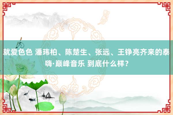 就爱色色 潘玮柏、陈楚生、张远、王铮亮齐来的泰嗨·巅峰音乐 到底什么样？