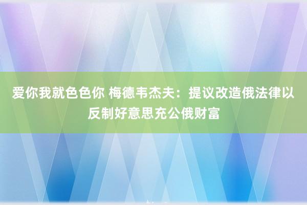 爱你我就色色你 梅德韦杰夫：提议改造俄法律以反制好意思充公俄财富