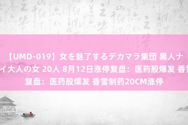 【UMD-019】女を魅了するデカマラ集団 黒人ナンパ エロくてイイ大人の女 20人 8月12日涨停复盘：医药股爆发 香雪制药20CM涨停