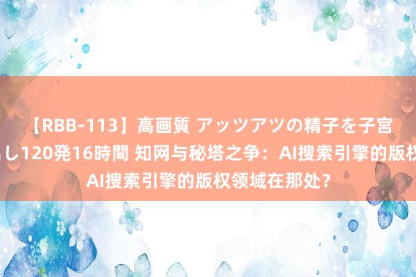 【RBB-113】高画質 アッツアツの精子を子宮に孕ませ中出し120発16時間 知网与秘塔之争：AI搜索引擎的版权领域在那处？