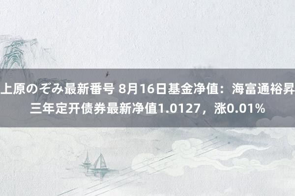 上原のぞみ最新番号 8月16日基金净值：海富通裕昇三年定开债券最新净值1.0127，涨0.01%