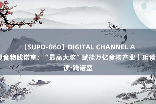 【SUPD-060】DIGITAL CHANNEL AYA 华夏食物践诺室：“最高大脑”赋能万亿食物产业丨玥读·践诺室