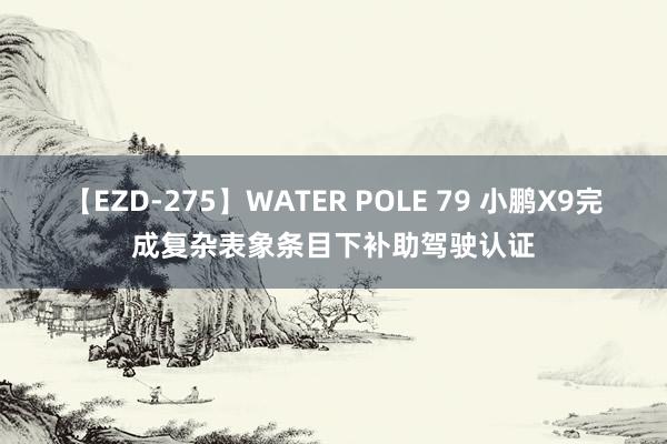 【EZD-275】WATER POLE 79 小鹏X9完成复杂表象条目下补助驾驶认证