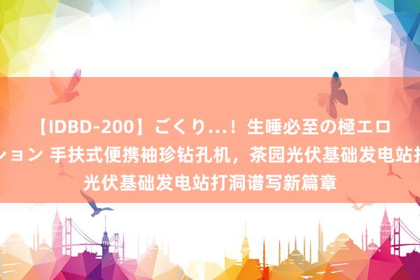 【IDBD-200】ごくり…！生唾必至の極エロボディセレクション 手扶式便携袖珍钻孔机，茶园光伏基础发电站打洞谱写新篇章