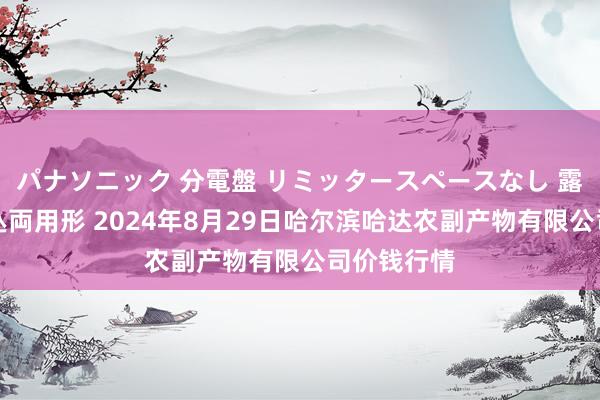 パナソニック 分電盤 リミッタースペースなし 露出・半埋込両用形 2024年8月29日哈尔滨哈达农副产物有限公司价钱行情