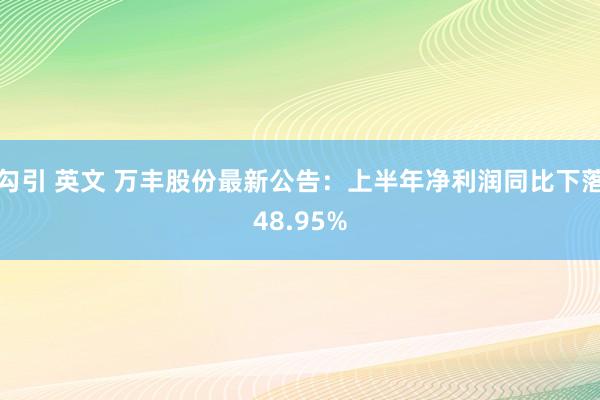 勾引 英文 万丰股份最新公告：上半年净利润同比下落48.95%