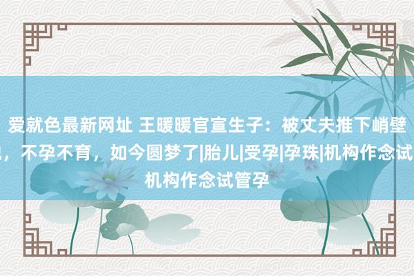 爱就色最新网址 王暖暖官宣生子：被丈夫推下峭壁的她，不孕不育，如今圆梦了|胎儿|受孕|孕珠|机构作念试管孕