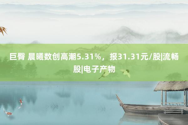 巨臀 晨曦数创高潮5.31%，报31.31元/股|流畅股|电子产物