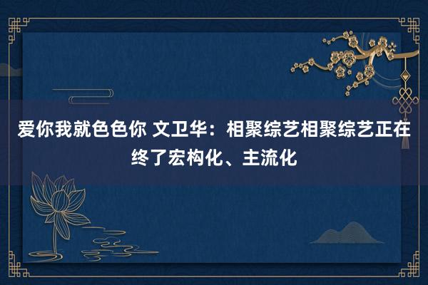 爱你我就色色你 文卫华：相聚综艺相聚综艺正在终了宏构化、主流化