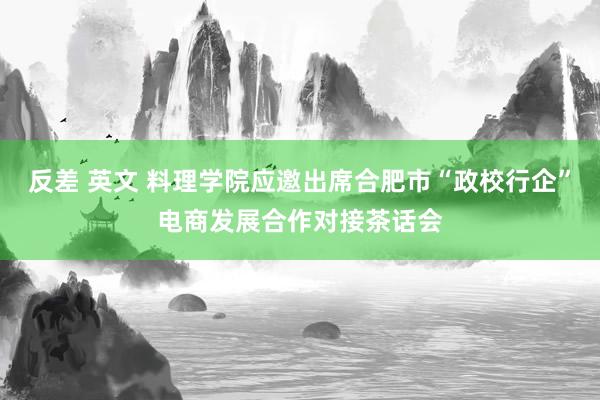 反差 英文 料理学院应邀出席合肥市“政校行企”电商发展合作对接茶话会