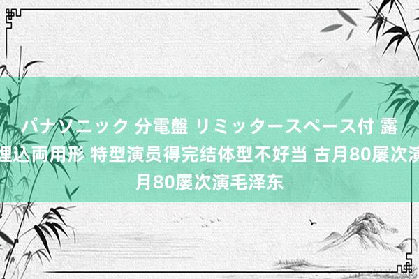 パナソニック 分電盤 リミッタースペース付 露出・半埋込両用形 特型演员得完结体型不好当 古月80屡次演毛泽东